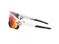 Oakley Jawbreaker Aurinkolasit OO 9290 05