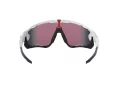 Oakley Jawbreaker Aurinkolasit OO 9290 05