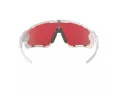 Oakley Jawbreaker Aurinkolasit OO 9290 21