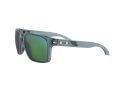 Oakley Holbrook Xl Aurinkolasit 9417 14