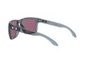Oakley Holbrook Xl Aurinkolasit 9417 14