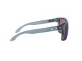 Oakley Holbrook Xl Aurinkolasit 9417 14