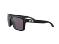 Oakley Holbrook Xl Aurinkolasit OO 9417 22