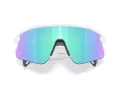 Oakley Stunt Devil Aurinkolasit OO 9517 04