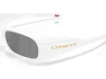 Oakley Permian Aurinkolasit OO 9520 02