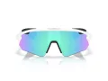 Oakley Stunt Devil A Aurinkolasit OO 9525 02