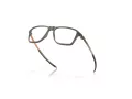 Oakley Wheel House Silmalasit OX 8166 07