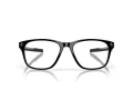 Oakley Cerebral Silmalasit OX 8187 05