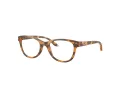 Oakley Humbly Silmalasit OY 8022 06