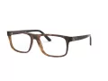 Polo Silmalasit PH 2218 5003
