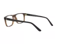 Polo Silmalasit PH 2218 5003