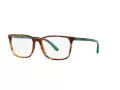 Polo Silmalasit PH 2234 5017