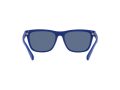 Polo Aurinkolasit PH 4167 5962/80