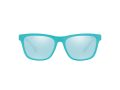 Polo Aurinkolasit PH 4167 5967/1N