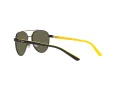 Polo Aurinkolasit PP 9001 9003/3