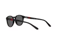 Polo Aurinkolasit PP 9502 5001/87