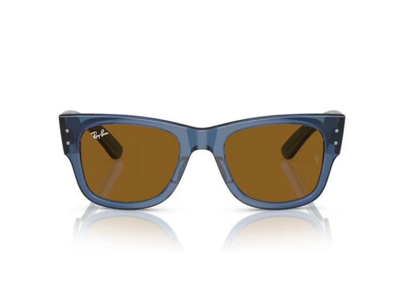Ray-Ban Mega Wayfarer Aurinkolasit RB 0RB0840S 668073