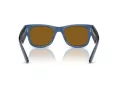 Ray-Ban Mega Wayfarer Aurinkolasit RB 0RB0840S 668073