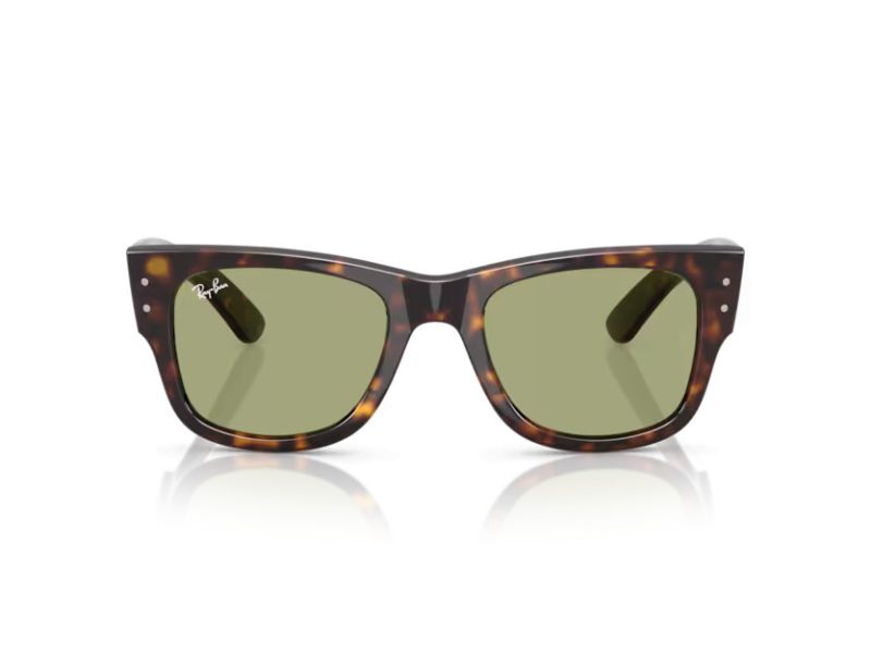 Ray-Ban Mega Wayfarer Aurinkolasit RB 0840S 902/4E