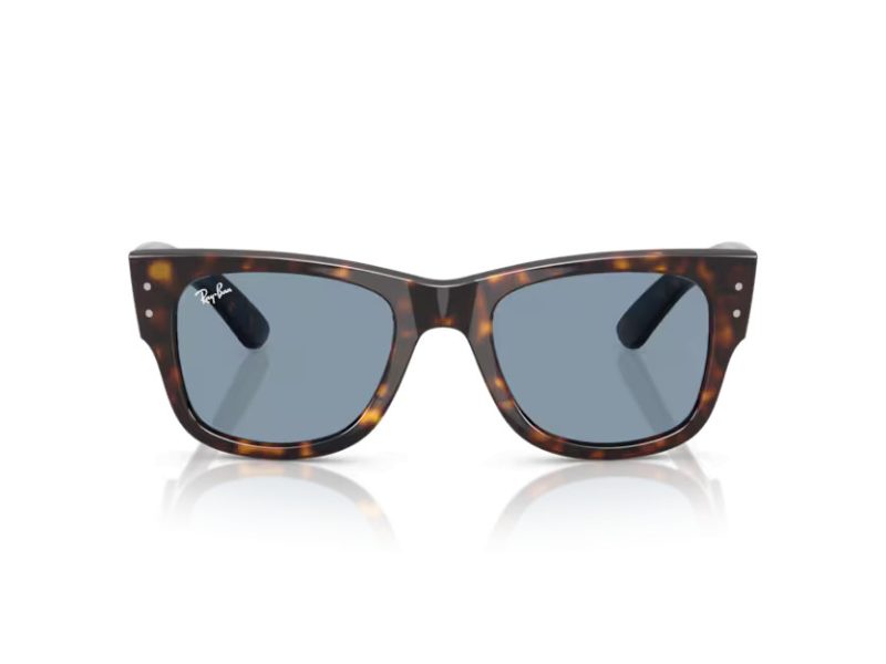 Ray-Ban Mega Wayfarer Aurinkolasit RB 0840S 902/56