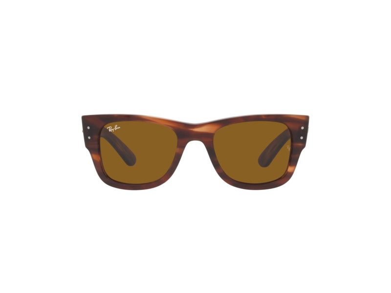 Ray-Ban Mega Wayfarer Aurinkolasit RB 0840S 954/33