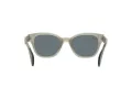Ray-Ban Aurinkolasit RB 0880S 6635/3R