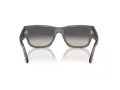 Ray-Ban Carlos Aurinkolasit RB 0947S 667571