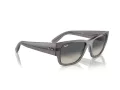 Ray-Ban Carlos Aurinkolasit RB 0947S 667571