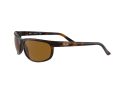 Ray-Ban Predator 2 Aurinkolasit RB 2027 6508/33