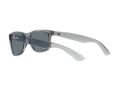Ray-Ban New Wayfarer Aurinkolasit RB 2132 6450/3R