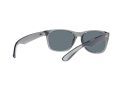 Ray-Ban New Wayfarer Aurinkolasit RB 2132 6450/3R