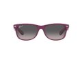 Ray-Ban New Wayfarer Aurinkolasit RB 2132 6606/M3