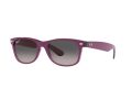 Ray-Ban New Wayfarer Aurinkolasit RB 2132 6606/M3