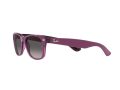 Ray-Ban New Wayfarer Aurinkolasit RB 2132 6606/M3