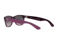 Ray-Ban New Wayfarer Aurinkolasit RB 2132 6606/M3
