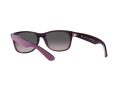 Ray-Ban New Wayfarer Aurinkolasit RB 2132 6606/M3