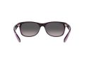 Ray-Ban New Wayfarer Aurinkolasit RB 2132 6606/M3