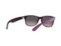 Ray-Ban New Wayfarer Aurinkolasit RB 2132 6606/M3