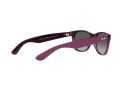 Ray-Ban New Wayfarer Aurinkolasit RB 2132 6606/M3