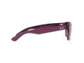 Ray-Ban New Wayfarer Aurinkolasit RB 2132 6606/M3