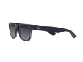 Ray-Ban New Wayfarer Aurinkolasit RB 2132 6607/78