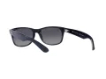 Ray-Ban New Wayfarer Aurinkolasit RB 2132 6607/78