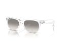 Ray-Ban New Wayfarer Aurinkolasit RB 2132 677432