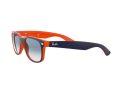 Ray-Ban New Wayfarer Aurinkolasit RB 2132 789/3F