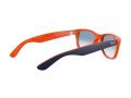 Ray-Ban New Wayfarer Aurinkolasit RB 2132 789/3F