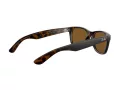 Ray-Ban New Wayfarer Aurinkolasit RB 2132 902/57
