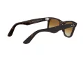 Ray-Ban Wayfarer Aurinkolasit RB 2140 902/51
