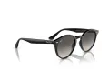 Ray-Ban Aurinkolasit RB 0RB2180 601/11