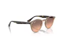 Ray-Ban Aurinkolasit RB 2180 678846