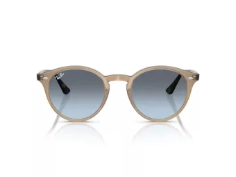Ray-Ban Aurinkolasit RB 2180 6788V1